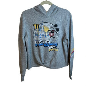 DISNEY PARKS WALT DISNEY WORLD GRAPHIC HOODIE